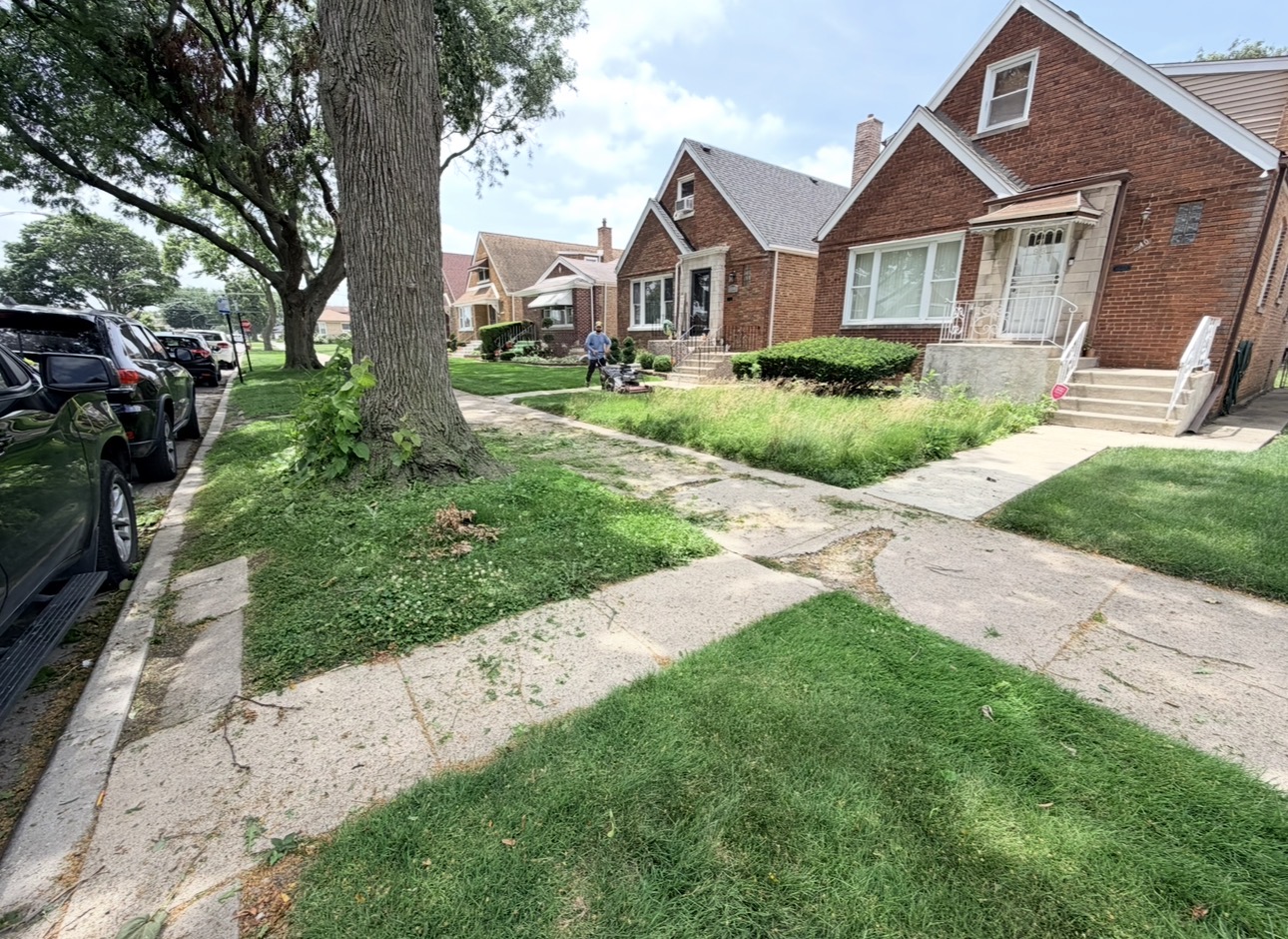 Residential lawn being restored by the EZA Landscaping crew