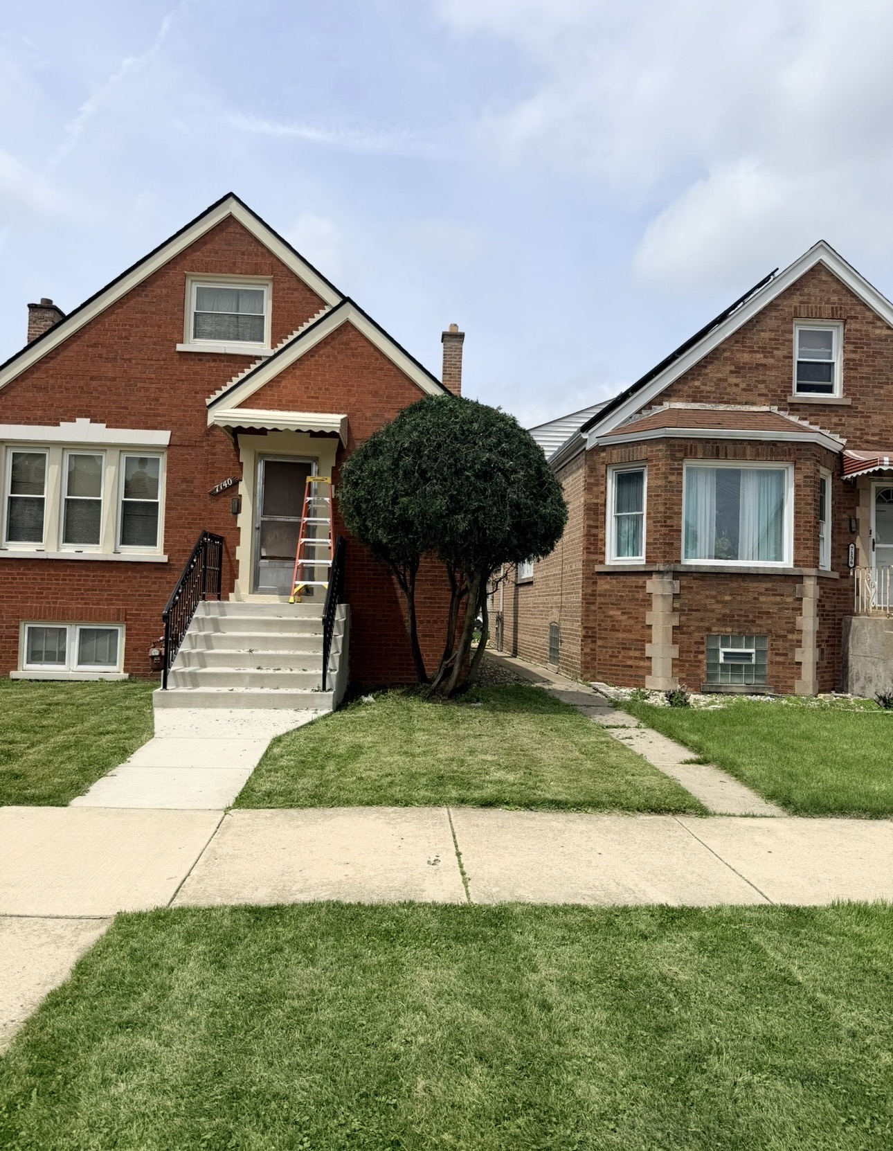 Trimmed front lawn and shaped ornamental tree at a Chicago-area home